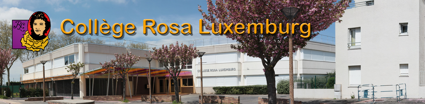 Collège Rosa Luxemburg Collège Rosa Luxemburg